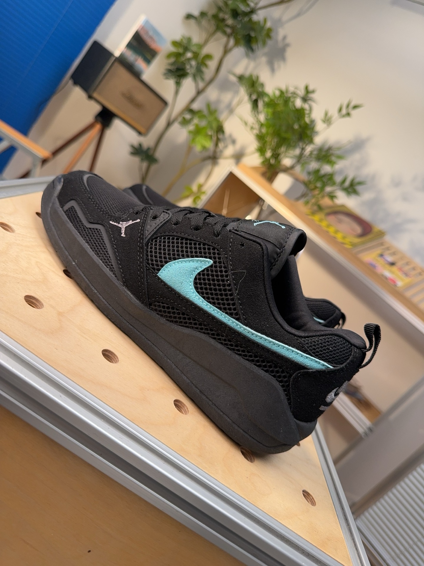 Nike Jordan